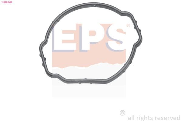 Garnitura termostat EPS 1.890.689