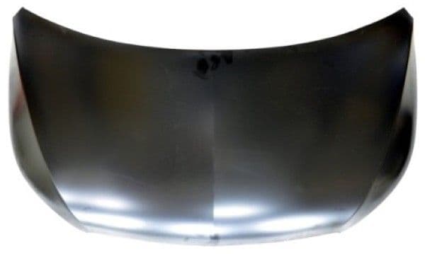 Capota motor MTR 12139265