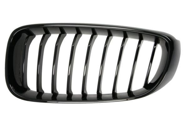 Grila radiator BLIC 6502-07-0081995P