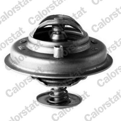 termostat,lichid racire CALORSTAT BY VERNET TH5753.84J