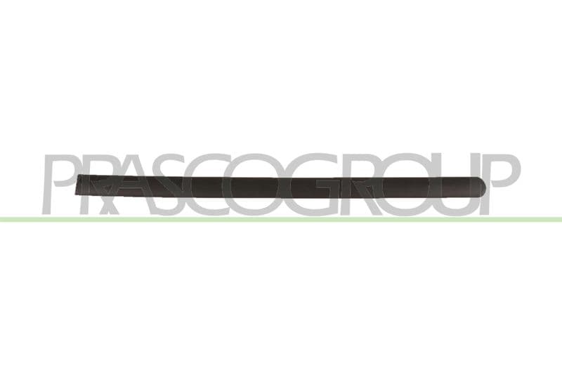 Elemente decorative/protectie, portiera PRASCO VG9041454