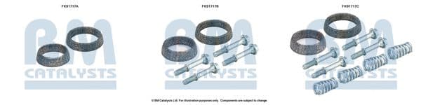 Set montare, catalizator BM CATALYSTS FK91717