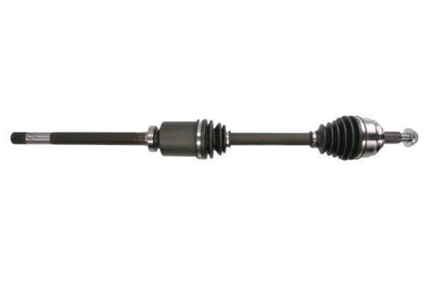 Planetara PASCAL G2R155PC