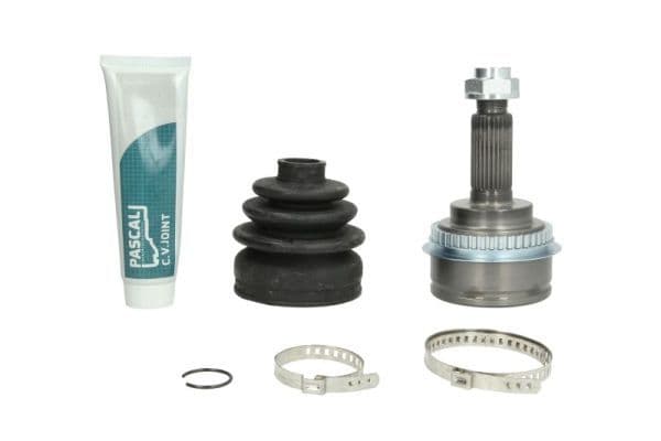Set articulatie, planetara PASCAL G17021PC