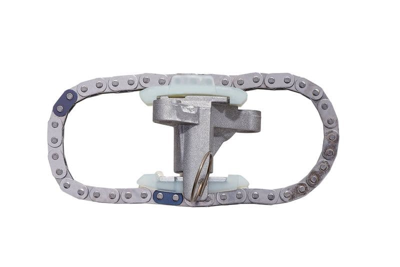 chit lant de distributie BorgWarner 59007150011