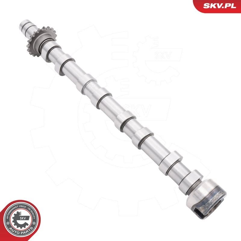 Ax cu came ESEN SKV 80SKV002