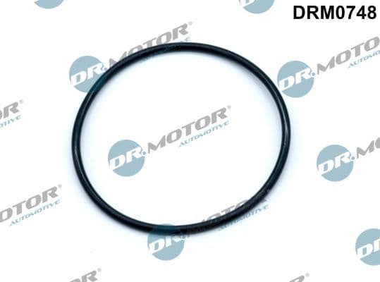 Garnitura, pompa vacuum Dr.Motor Automotive DRM0748