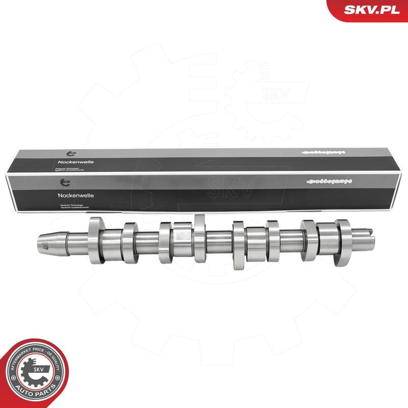 Ax cu came ESEN SKV 80SKV005