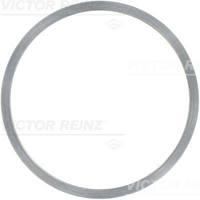 Garnitura, chiulasa REINZ 61-23455-00