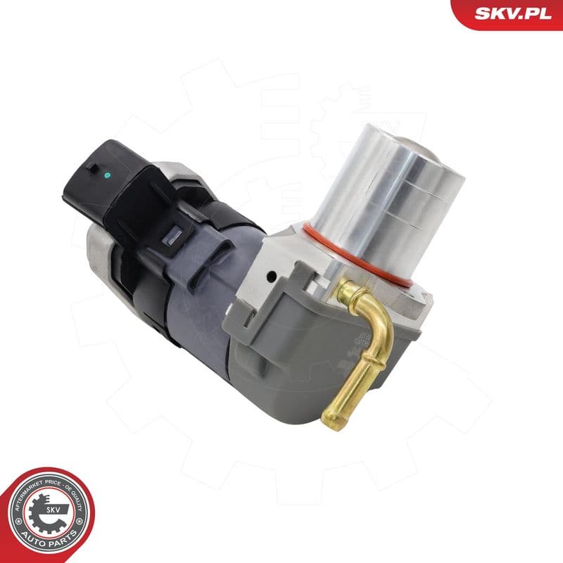 Supapa EGR ESEN SKV 14SKV303