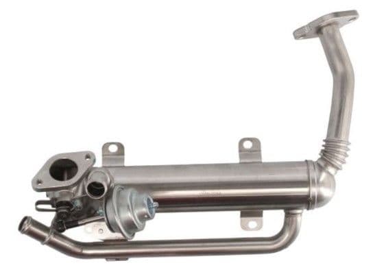 Radiator, recirculare gaze de esapament MTR 12119868