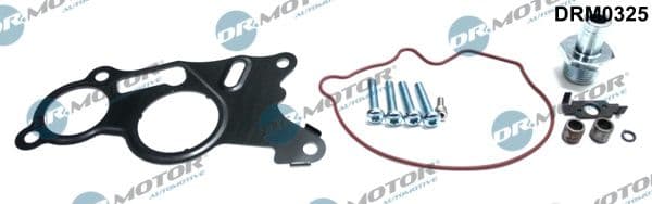 Set reparatie, pompa vacuum (Siste frana) Dr.Motor Automotive DRM0325