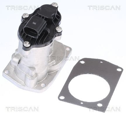 Supapa EGR TRISCAN 8813 16201