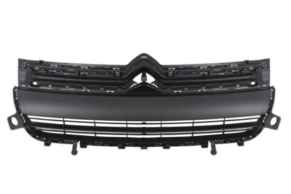 Grila radiator BLIC 6502-07-0554990Q