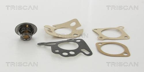termostat,lichid racire TRISCAN 8620 2882