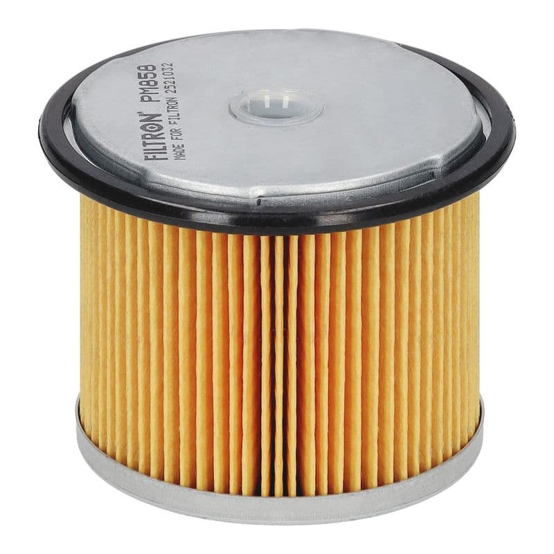 filtru combustibil FILTRON PM 858