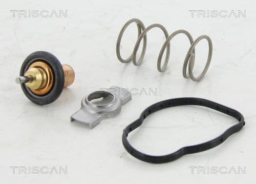 termostat,lichid racire TRISCAN 8620 45383
