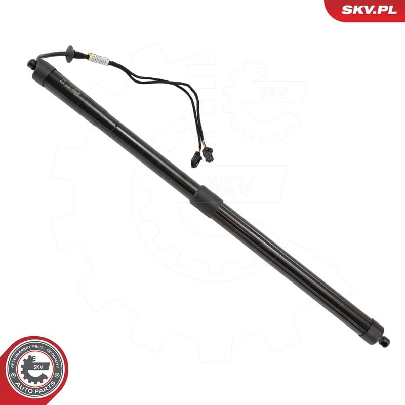 Motor electric, haion ESEN SKV 52SKV876
