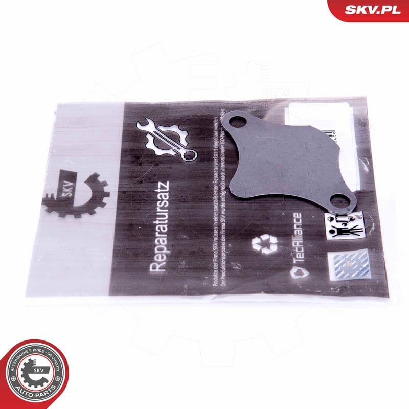 Set de reparație, supapă AGR ESEN SKV 14SKV520