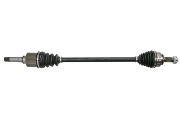 Planetara PASCAL G2P049PC