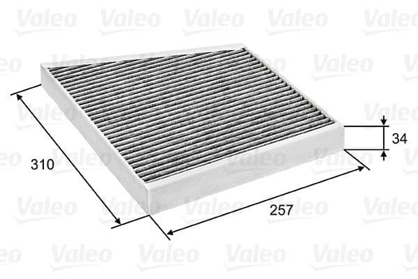 Filtru, aer habitaclu VALEO PROTECT 698741