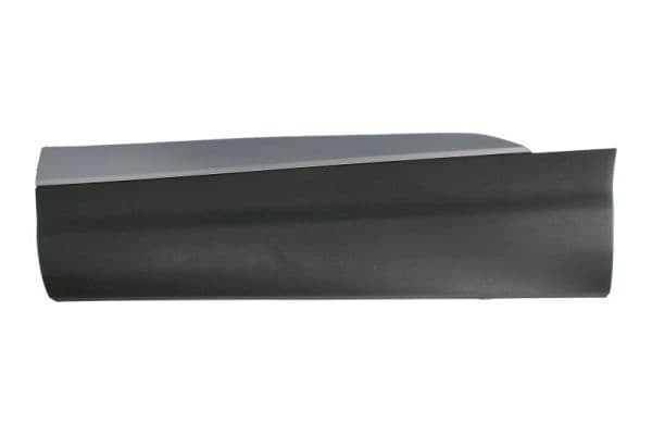 Elemente decorative/protectie, portiera BLIC 5703-04-0041573P