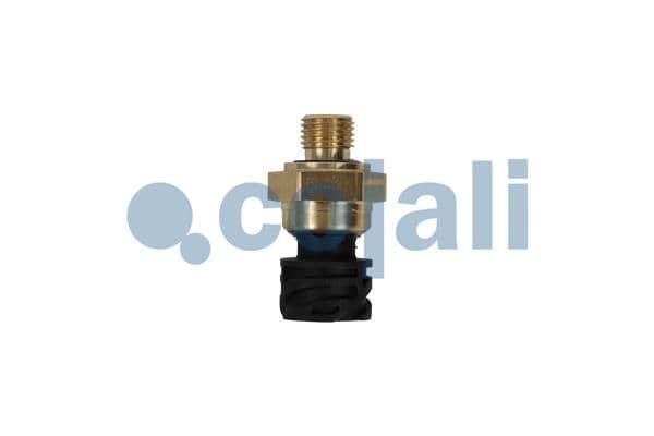 senzor,presiune ulei COJALI 2262032