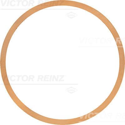 Garnitura, chiulasa REINZ 61-42515-00