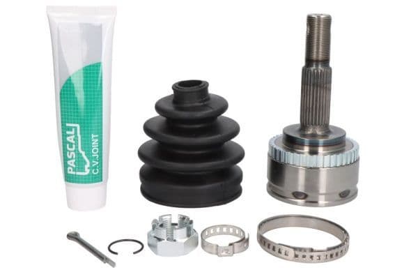 Set articulatie, planetara PASCAL G11074PC