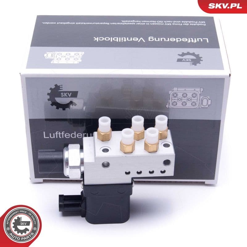supapa,sistem supraalimentare ESEN SKV 93SKV807