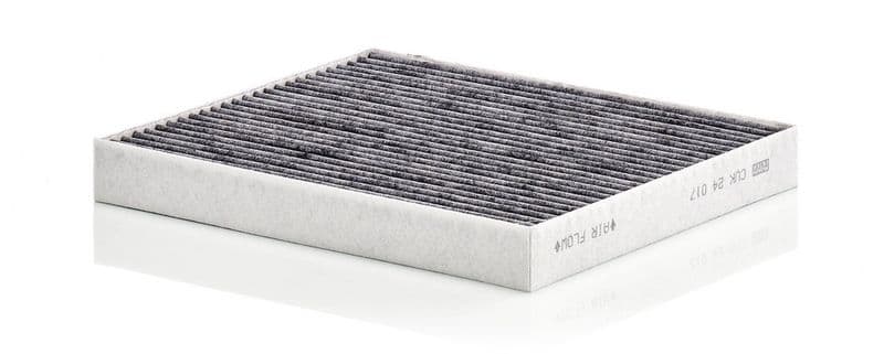 Filtru, aer habitaclu MANN-FILTER CUK 24 017