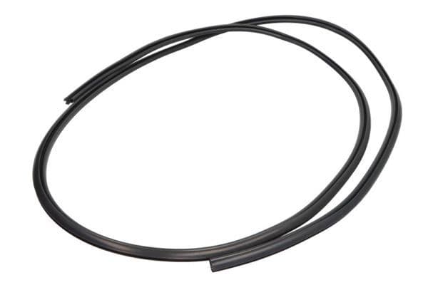 Garnitura, parbriz BLIC 5703-04-6037652Q