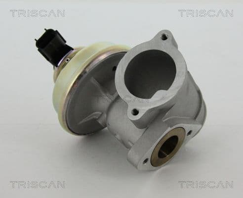 Supapa EGR TRISCAN 8813 16102