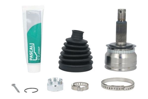 Set articulatie, planetara PASCAL G10354PC