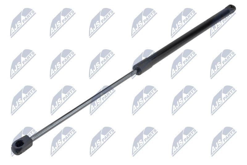 Amortizor portbagaj NTY AE-FT-045