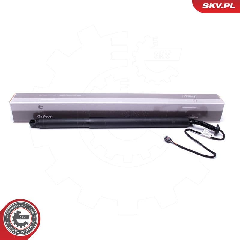 Motor electric, haion ESEN SKV 52SKV911