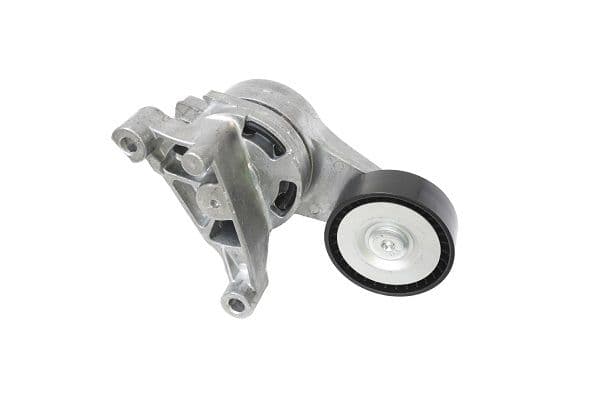 intinzator,curea transmisie ASAM AUTOMOTIVE 101284
