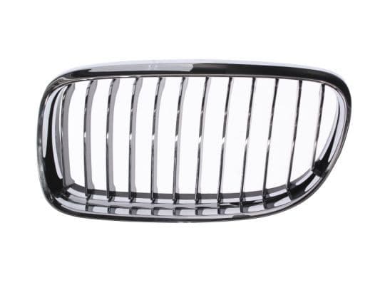 Grila radiator BLIC 6502-07-0062991PP