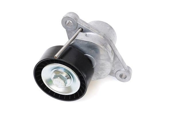 intinzator,curea transmisie ASAM AUTOMOTIVE 101306