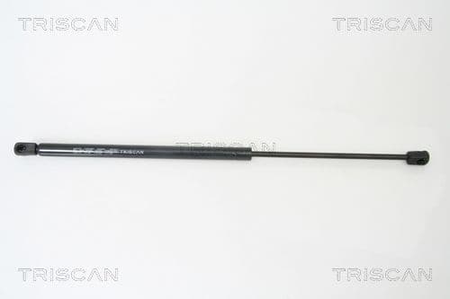 Amortizor portbagaj TRISCAN 8710 29270