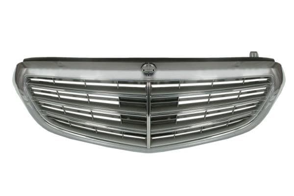 Grila radiator BLIC 5601-00-3529992Q