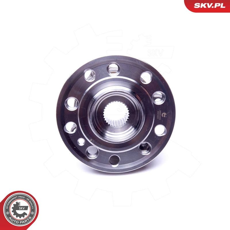 Set rulment roata ESEN SKV 29SKV285