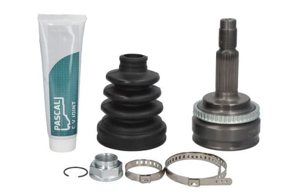 Set articulatie, planetara PASCAL G12095PC