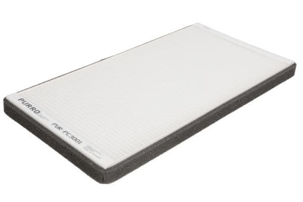 Filtru, aer habitaclu PURRO PUR-PC3001
