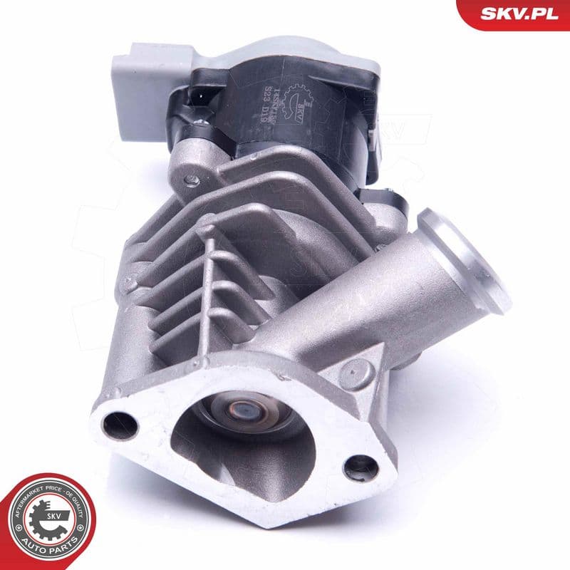 Supapa EGR ESEN SKV 14SKV173
