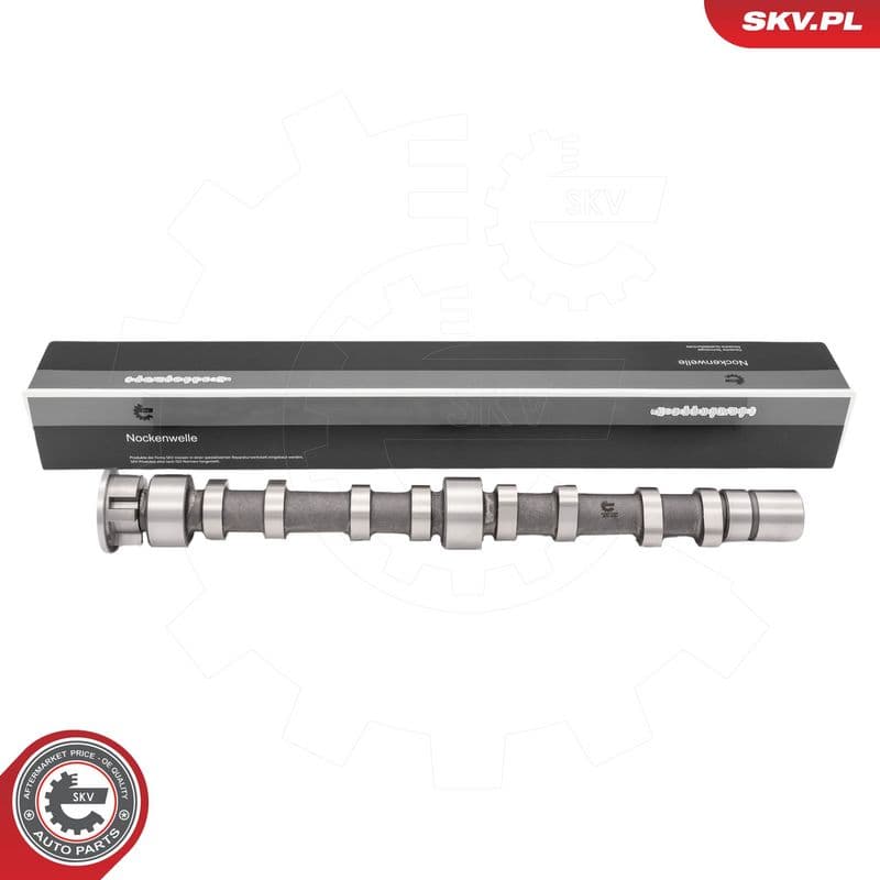 Ax cu came ESEN SKV 80SKV035