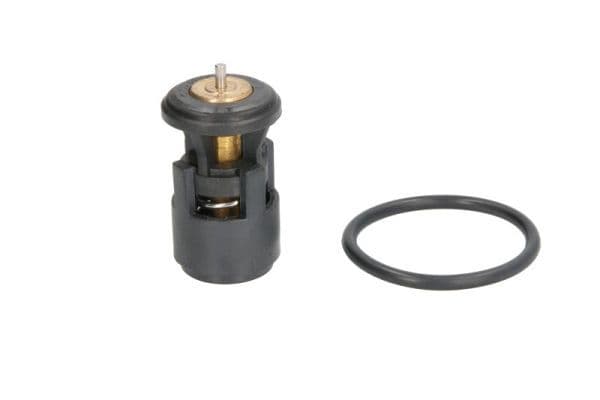 termostat,lichid racire THERMOTEC D2A005TT