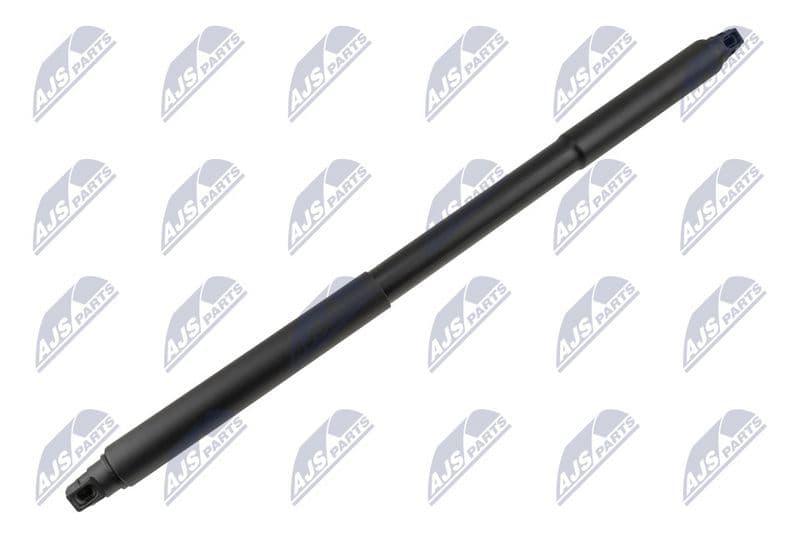 Amortizor capota NTY AE-CH-083