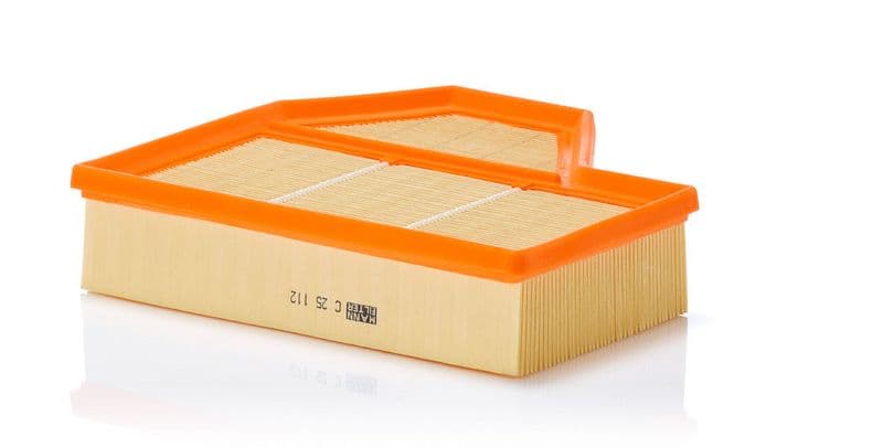 Filtru aer MANN-FILTER C 25 112