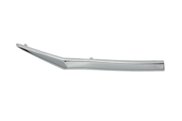 Banda de protectie, grila radiator BLIC 6502-07-2950992P